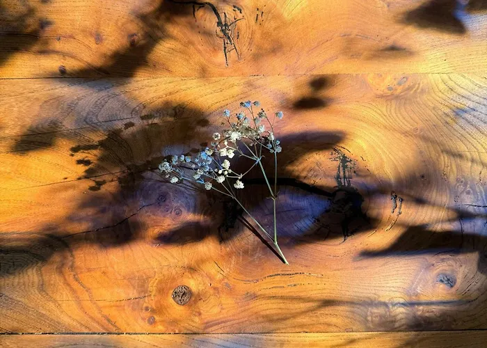 Le Beau Moulin Couette-café 3*